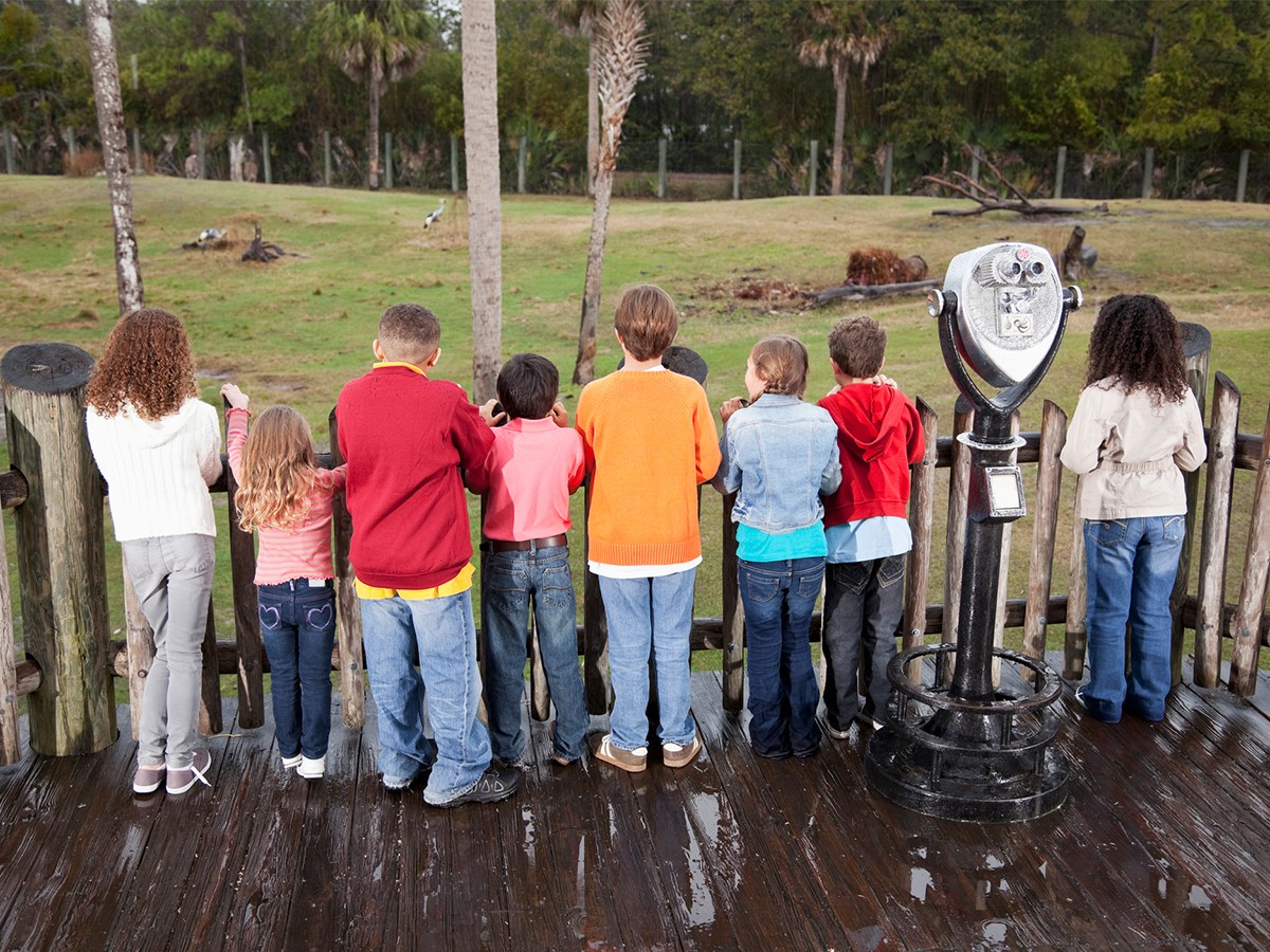 纽约大学有哪些优势专业？